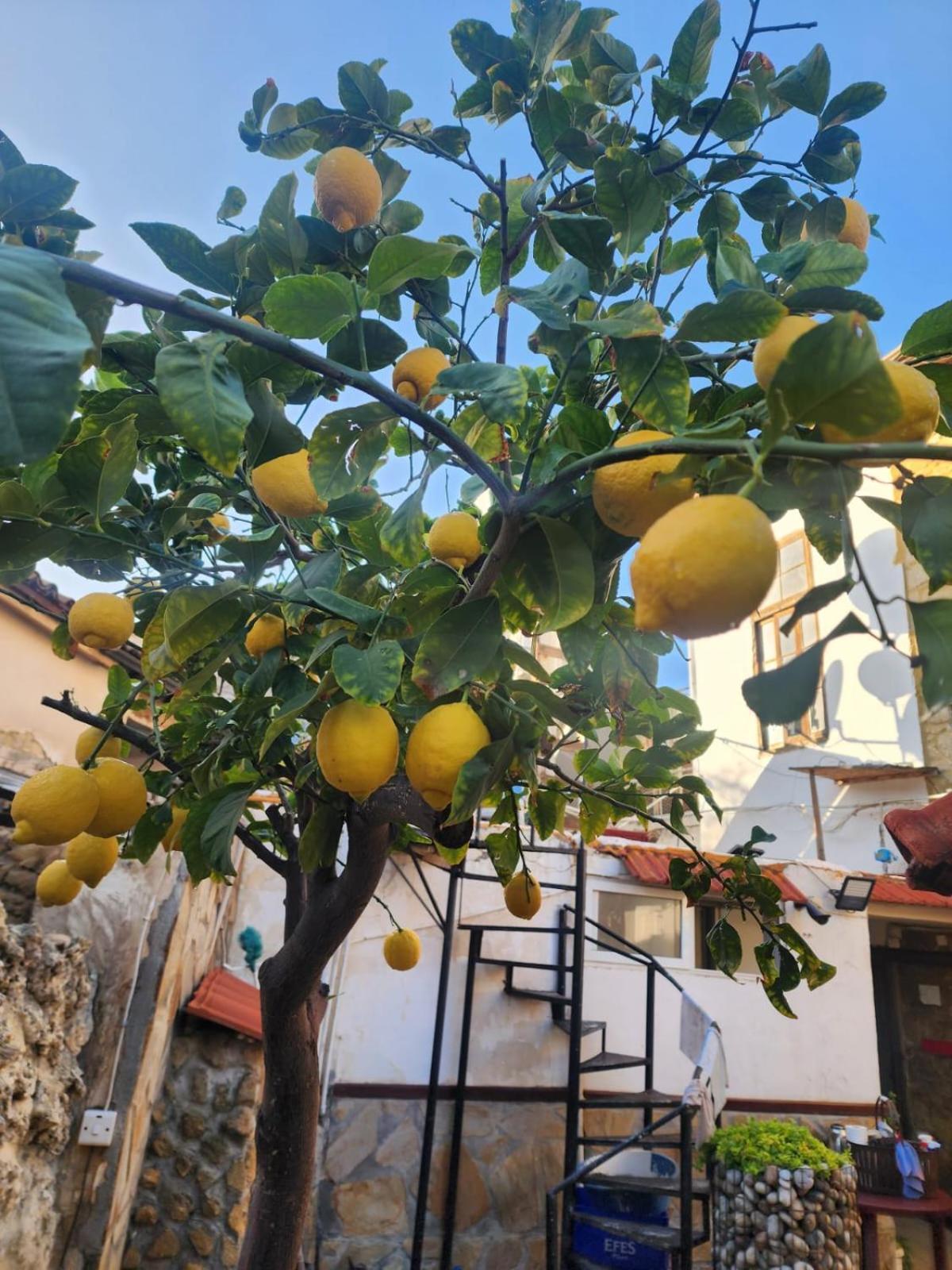 Aksaray Boutique Hotel Nicosia Kültér fotó